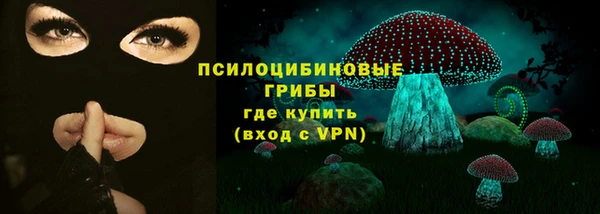 стафф Верхний Тагил