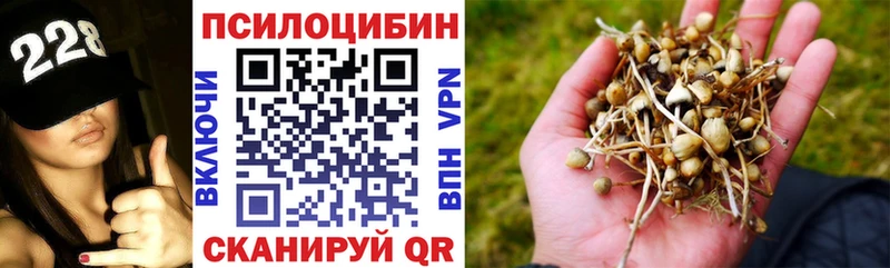 Псилоцибиновые грибы MAGIC MUSHROOMS  Динская 